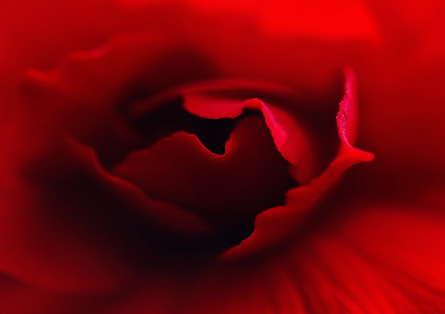 Matriarchy Rising Collection